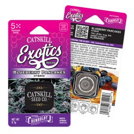 CSC/Humboldt Blueberry Pancakes Novelty Seeds